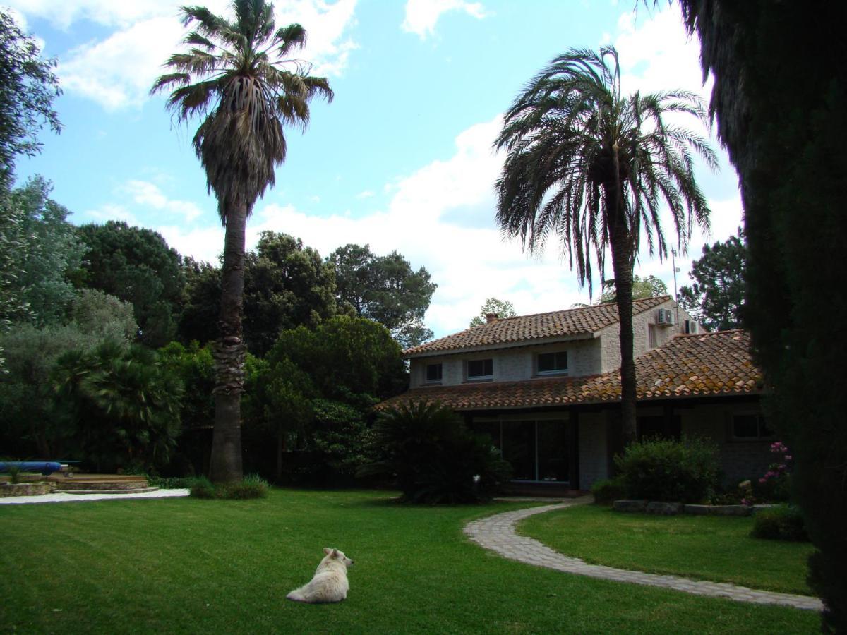 La Villa Saint Andre - Argeles Sur Mer Экстерьер фото